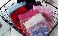 苏紫紫干露露全套